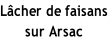 Lâcher de faisans sur Arsac